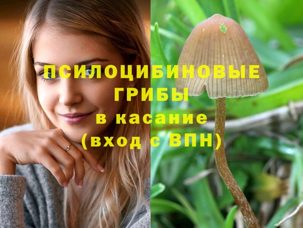 ПСИЛОЦИБИНОВЫЕ ГРИБЫ Баксан