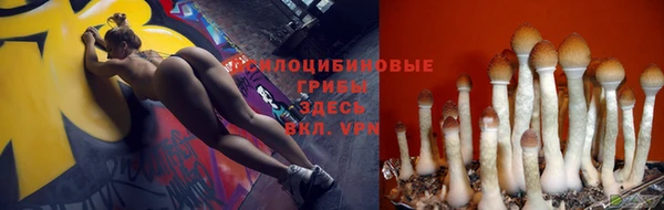 ПСИЛОЦИБИНОВЫЕ ГРИБЫ Баксан