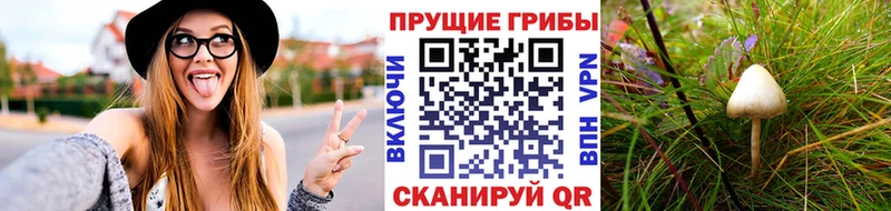 даркнет сайт  Могоча  Галлюциногенные грибы мицелий 